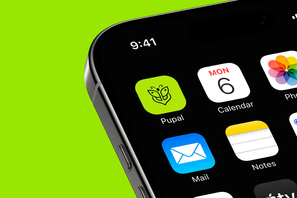Pupal Agency: the identity in use 9